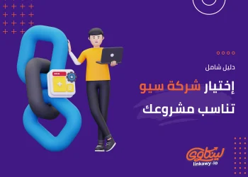 كيفية اختيار شركة سيو